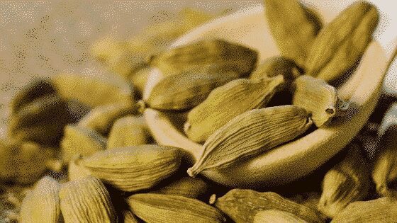 Cardamom