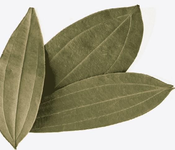 Bay Leaf, Indian (Tej Patta) 1/2 oz