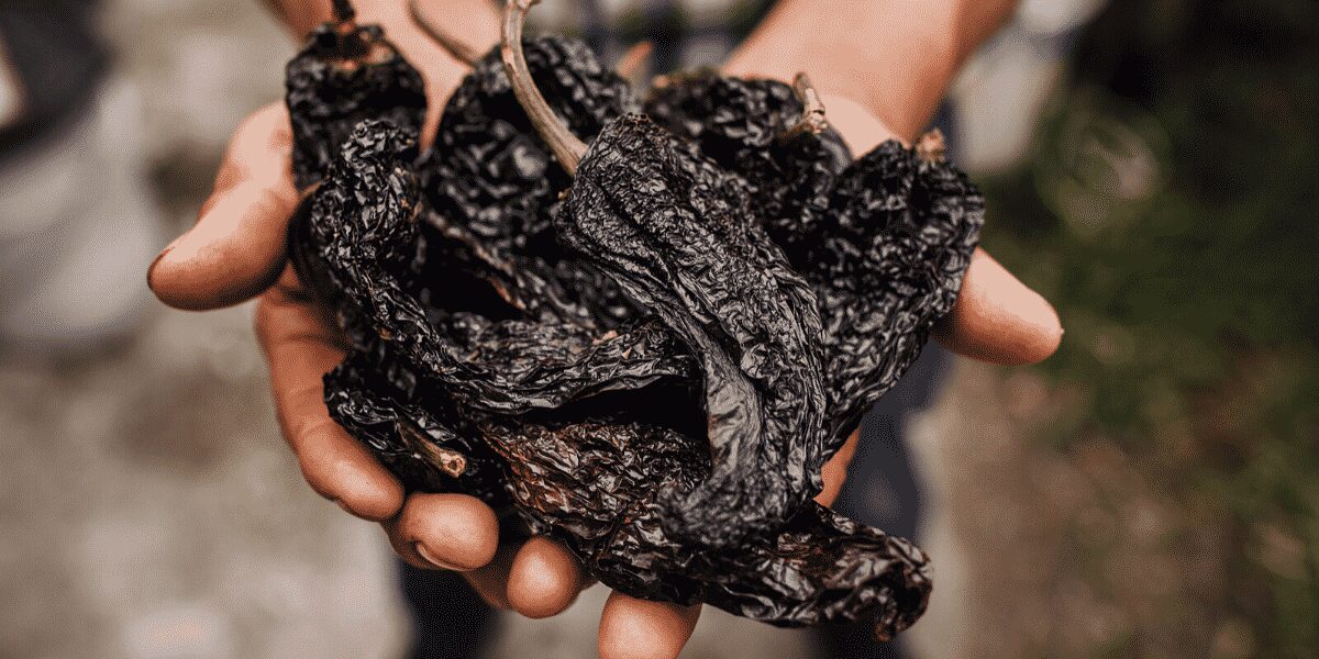 Dried Ancho peppers