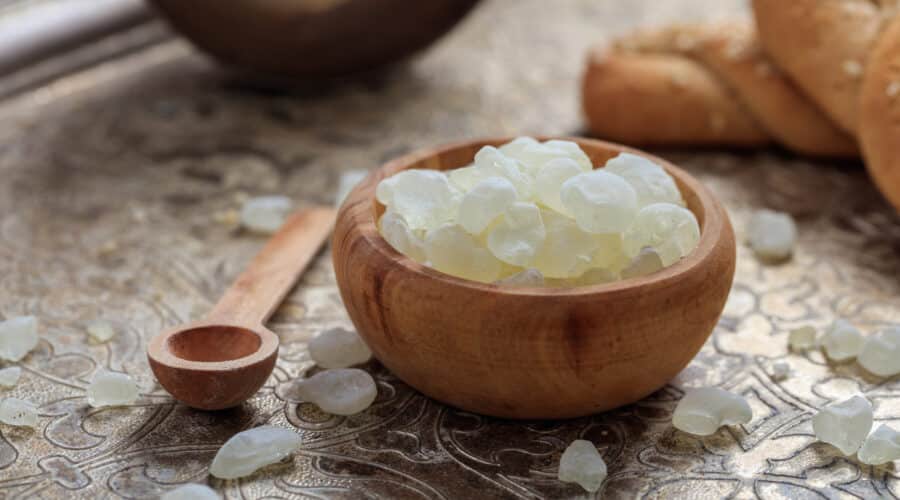 mastic gum