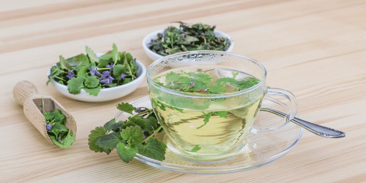 cooling herbs