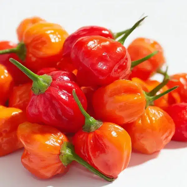 Chile Tepin - The Wild Pepper Behind All the Heat